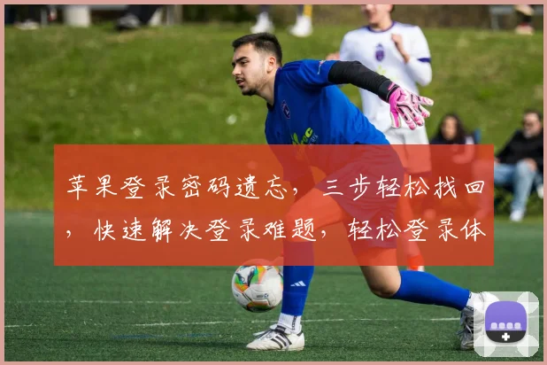 苹果登录密码遗忘，三步轻松找回，快速解决登录难题，轻松登录体验